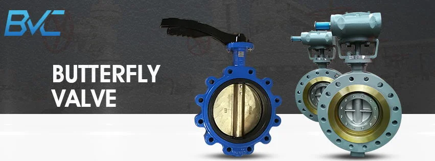 API609 Stainless Steel Flanged Triple Offset Butterfly Valve