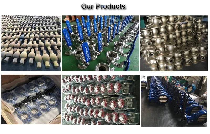 Cast Steel and Cast Iron/Ductile Iron Butterfly Valves