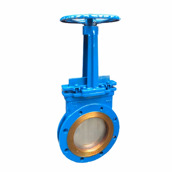 Valvola di ritegno a sfera flangiata ANSI/API/ASTM/ASME/Wcb